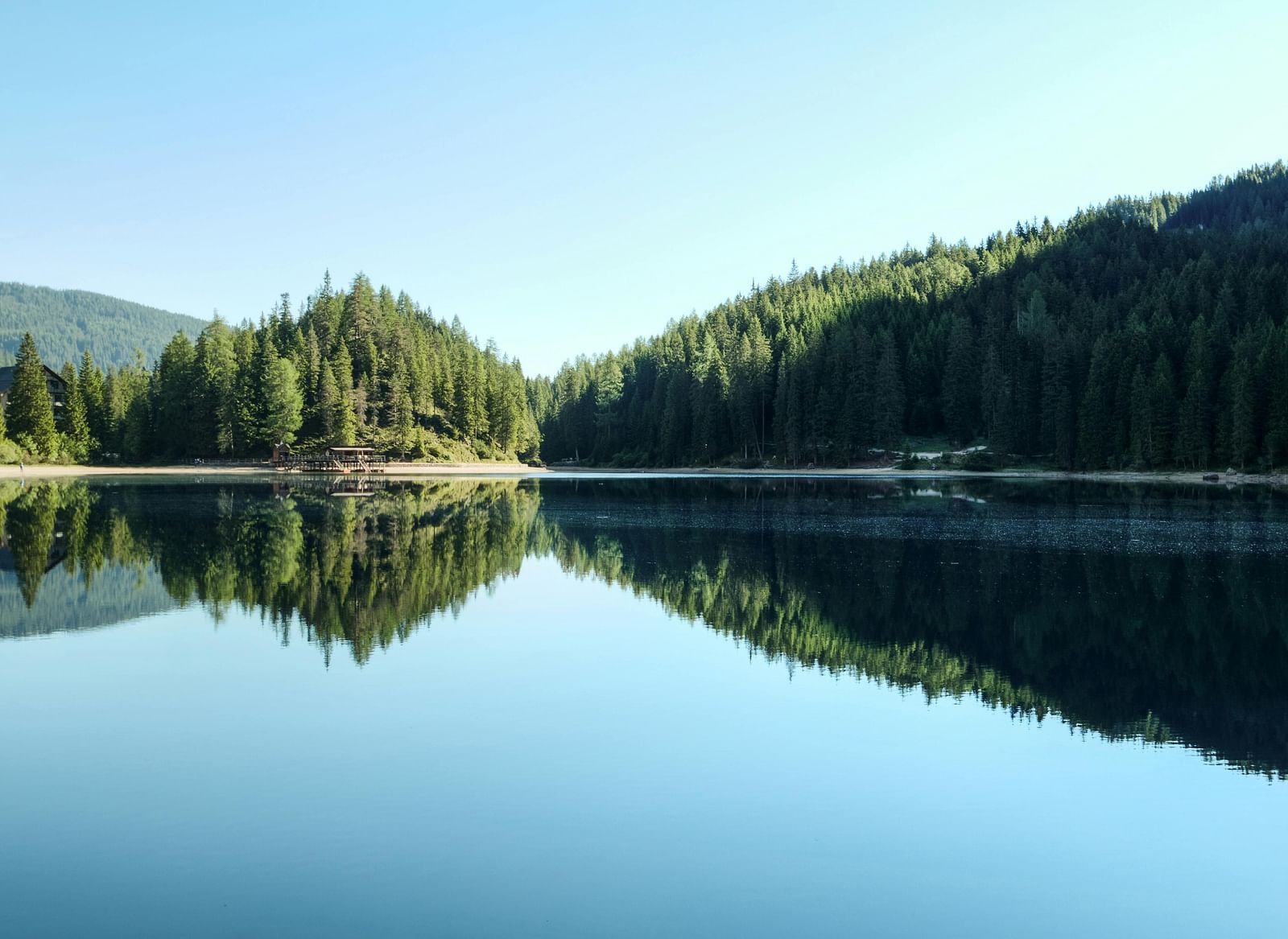 A lake surrounded by trees during the day.