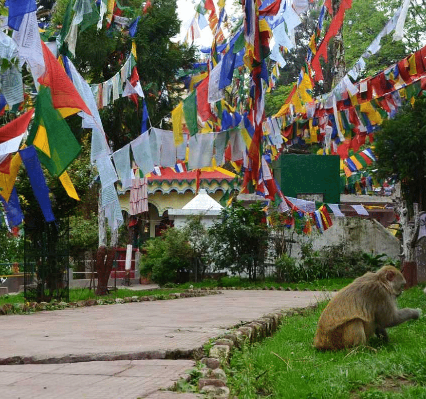 Darjeeling-Observatory-Hill-Mahakal-Temple hish3t