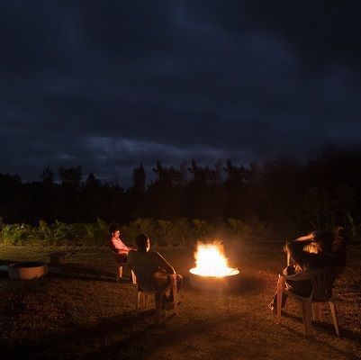 People sitting around a campfire at night in an open area with faint lights and trees in the background.