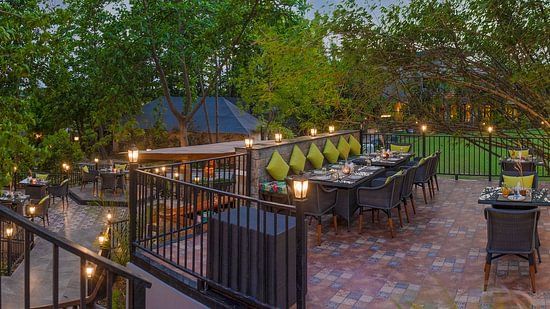 jungle grill- The Golden tusk