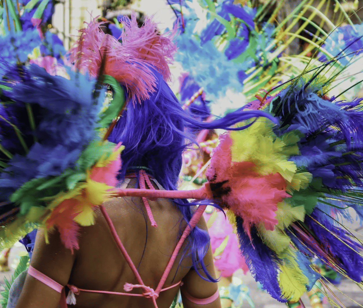 A person in an elaborate, multi-colored feathered carnival costume with vibrant pink ties.