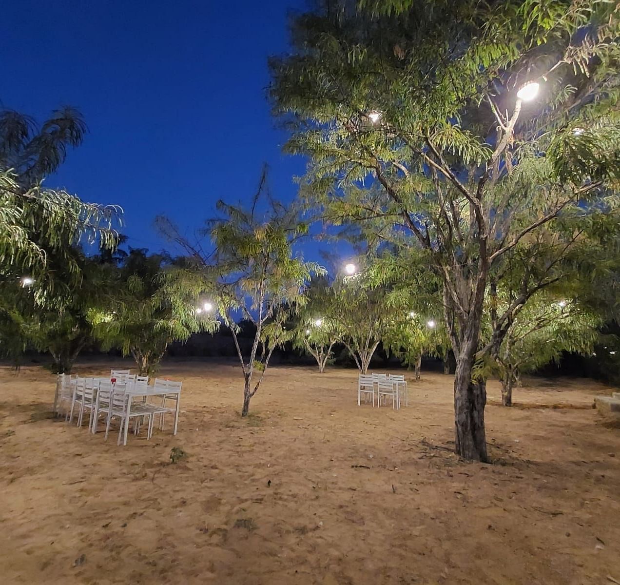A nighttime shot of an outdoor space at Bamboo Saa Mulberry Resort, with trees illuminated by string lights.