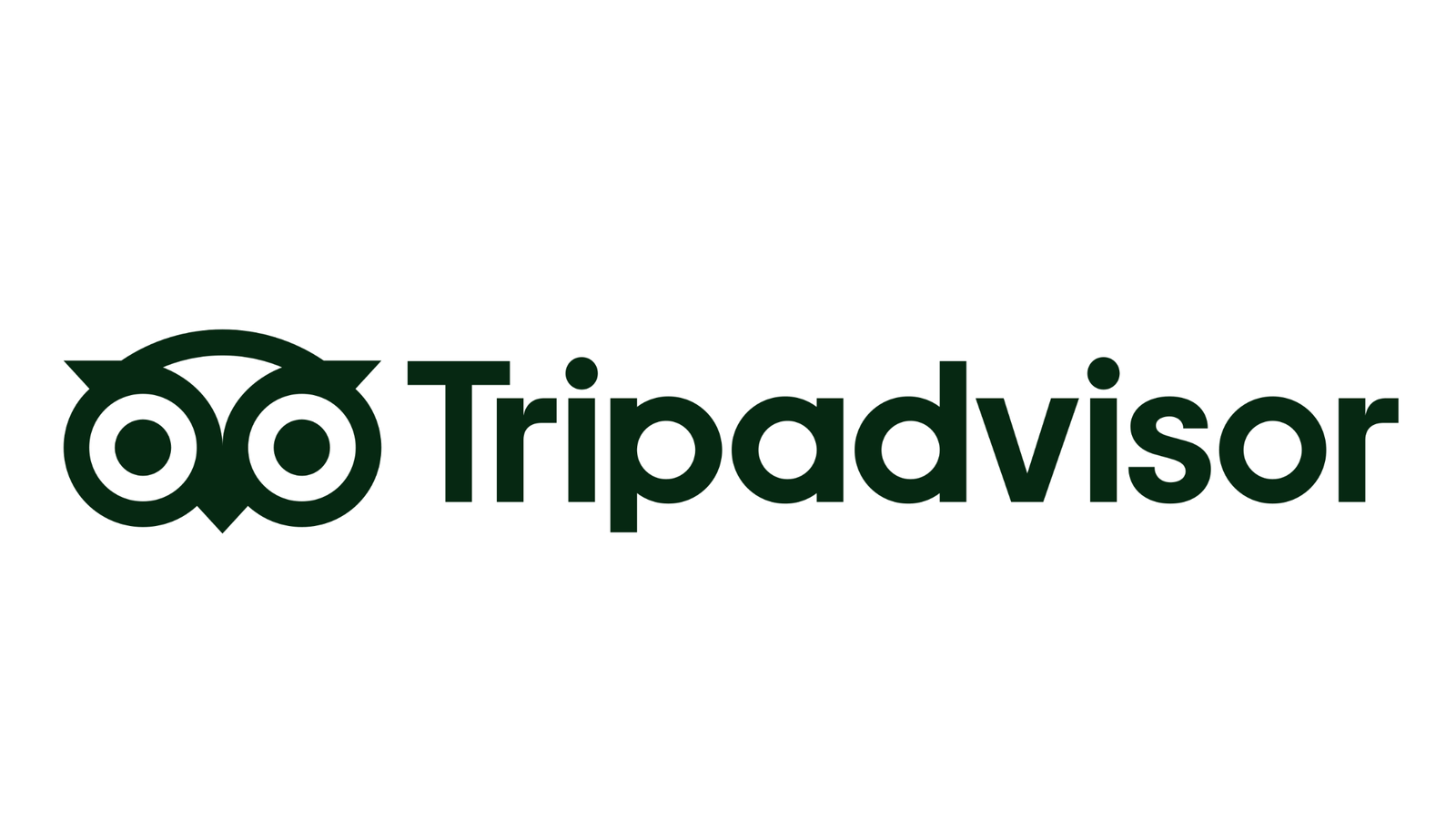 Logo of Tripadvisor featuring the eyes of an owl before the brand's name.