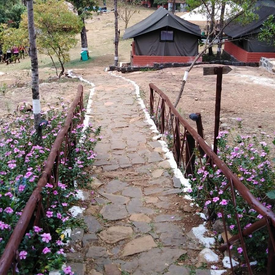 alt-text Let s Camp Yercaud tents 2