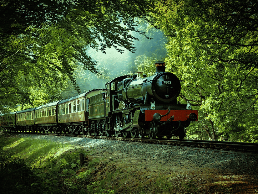 a classic train moving through dest forest with greenery all around.