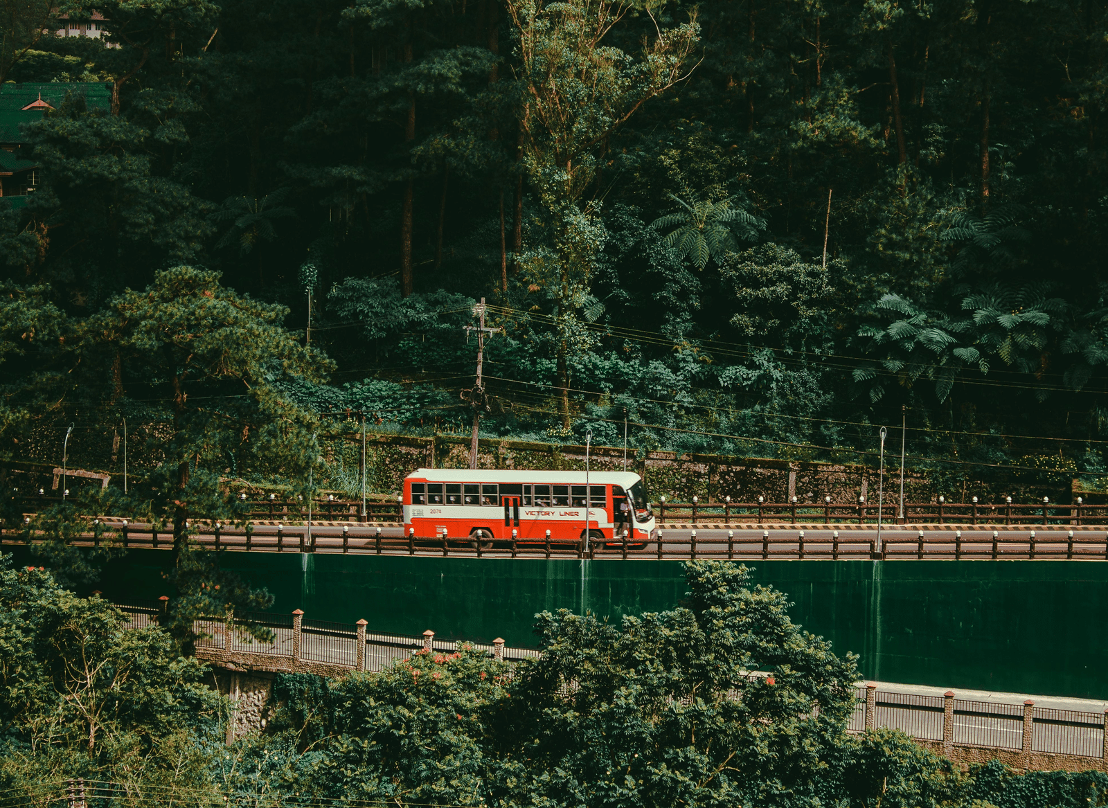 pexels-ian-panelo-3230239
