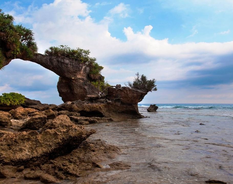Natural BridgE 1 (3)