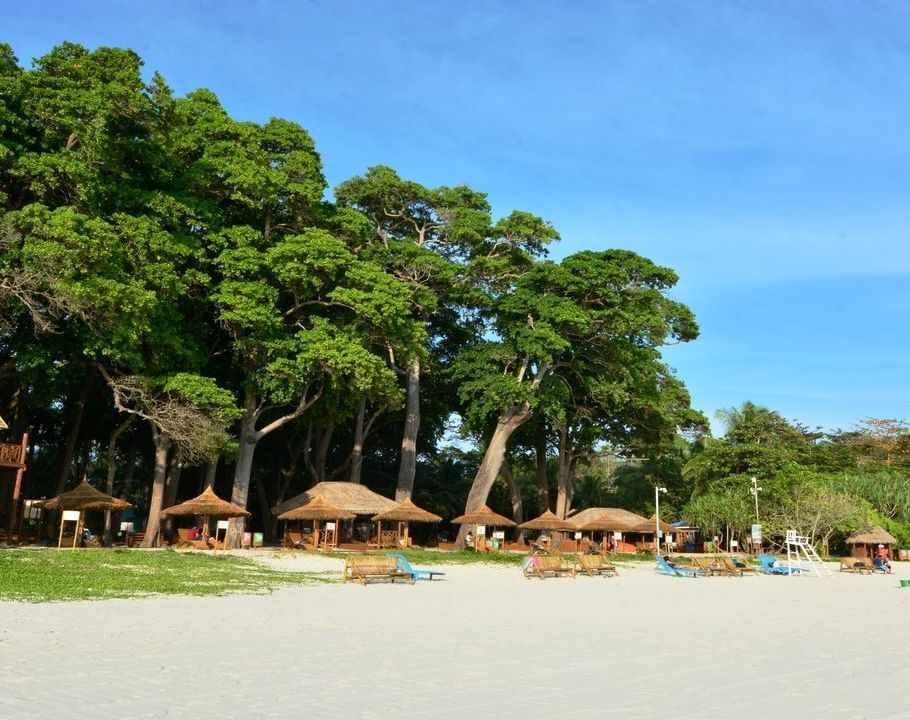 A wide angle shot of the Radhanagar beach featuring lush green tropical palm trees with a bright blue sky in the background.