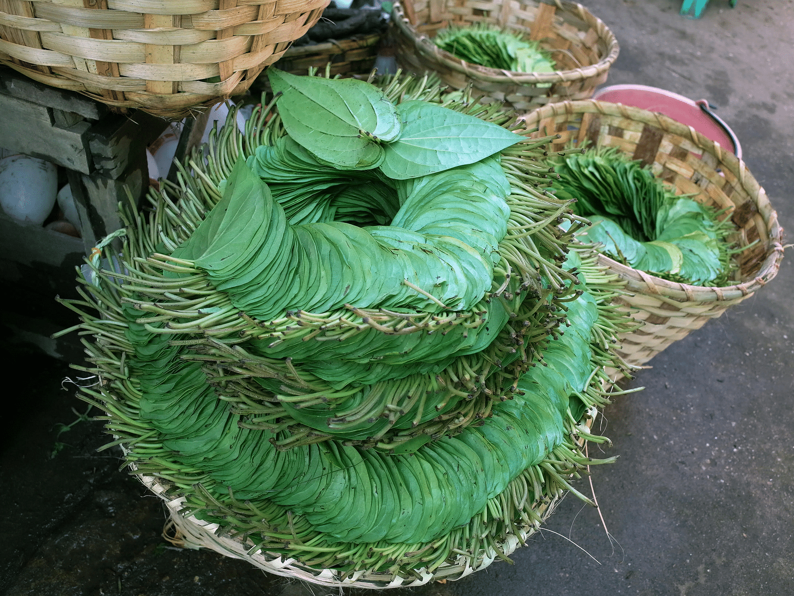 Fresh betel leaves (paan) neatly arranged in baskets at a local market.