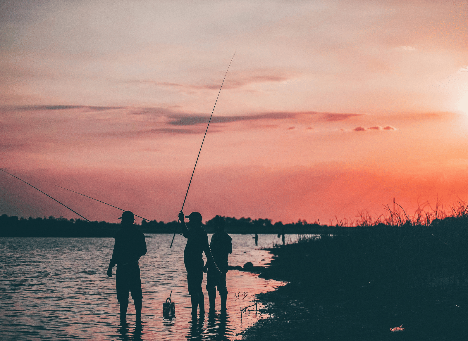 pexels-dmax-tran-1398585-7536519