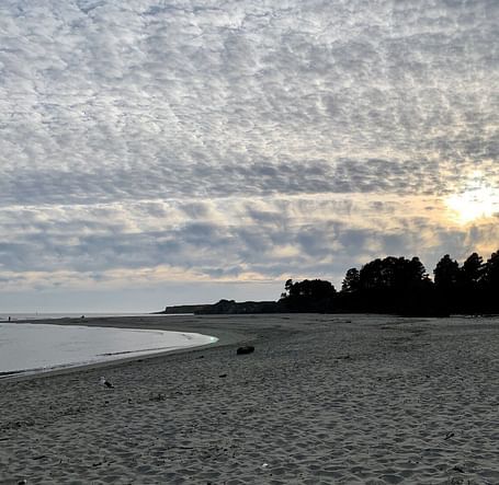 A wide sandy beach stretches towards a distant tree line under a dramatic, textured sky with the sun breaking through.