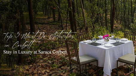 Romantic outdoor dining table set among tall trees, with white tablecloth and flowers in a peaceful forest.