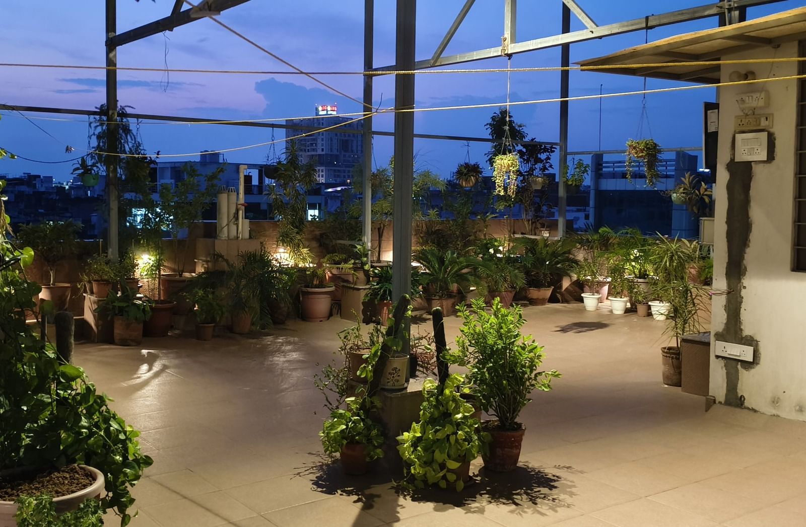 Rooftop space with potted plants, open floor area, and partial structures visible at Jaypore360 Homestay in Jaipur.