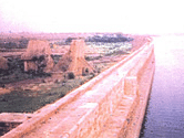 tighra1