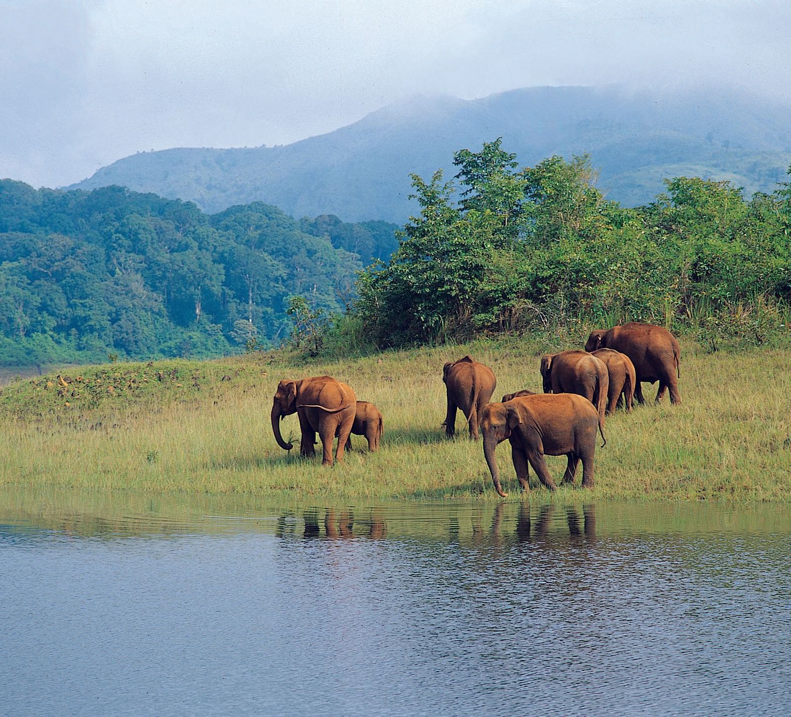 Ambapani-Wildlife-Sanctuary