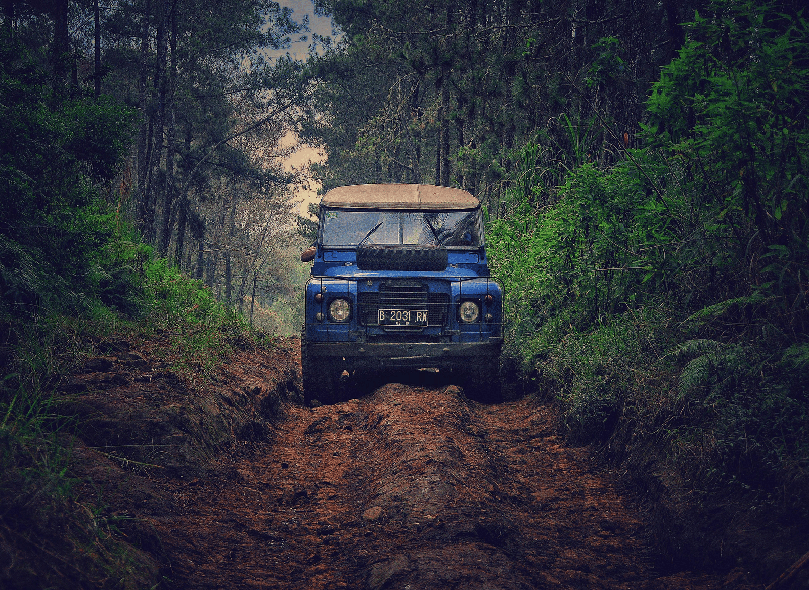 Blue off-road vehicle navigating a rugged dirt trail amidst dense green forest foliage.