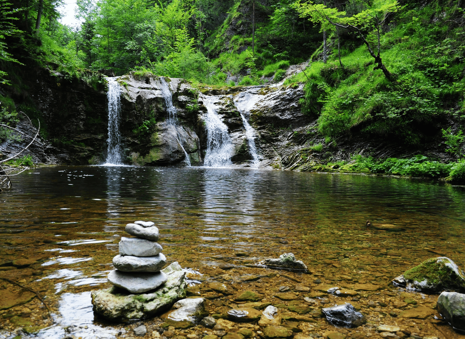 A small waterfall flowing into a shallow stream surrounded by rocks and trees.