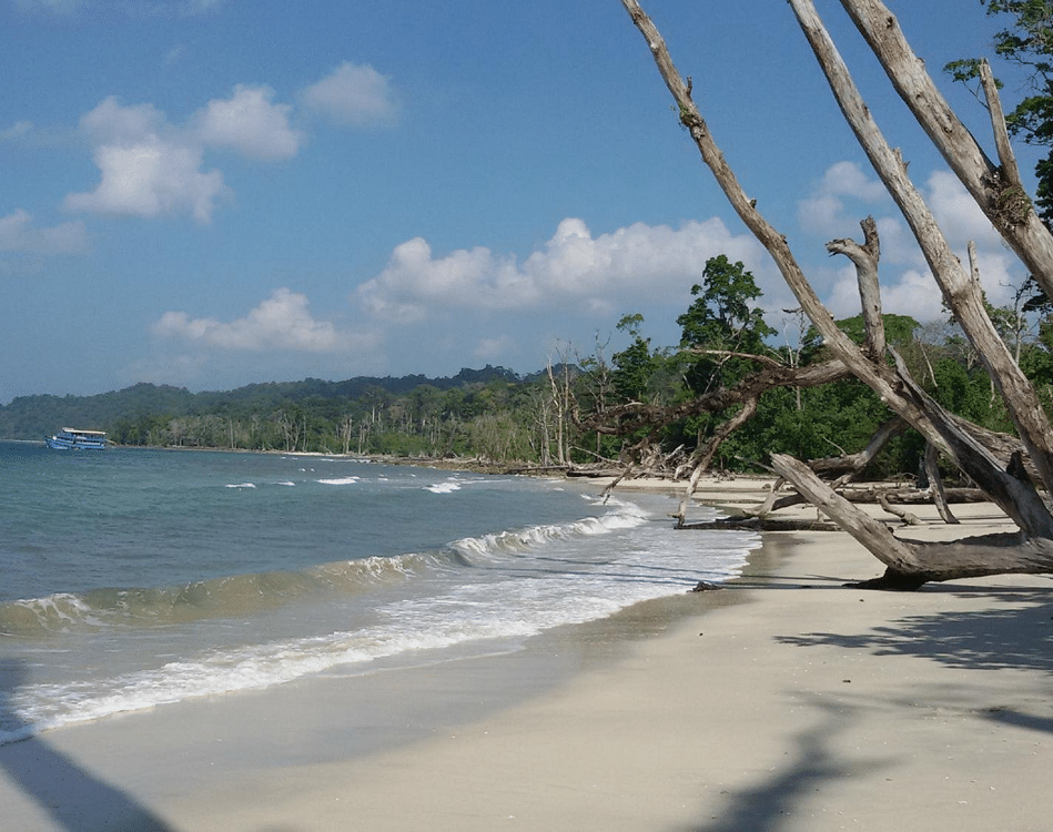 Elephant Beach
