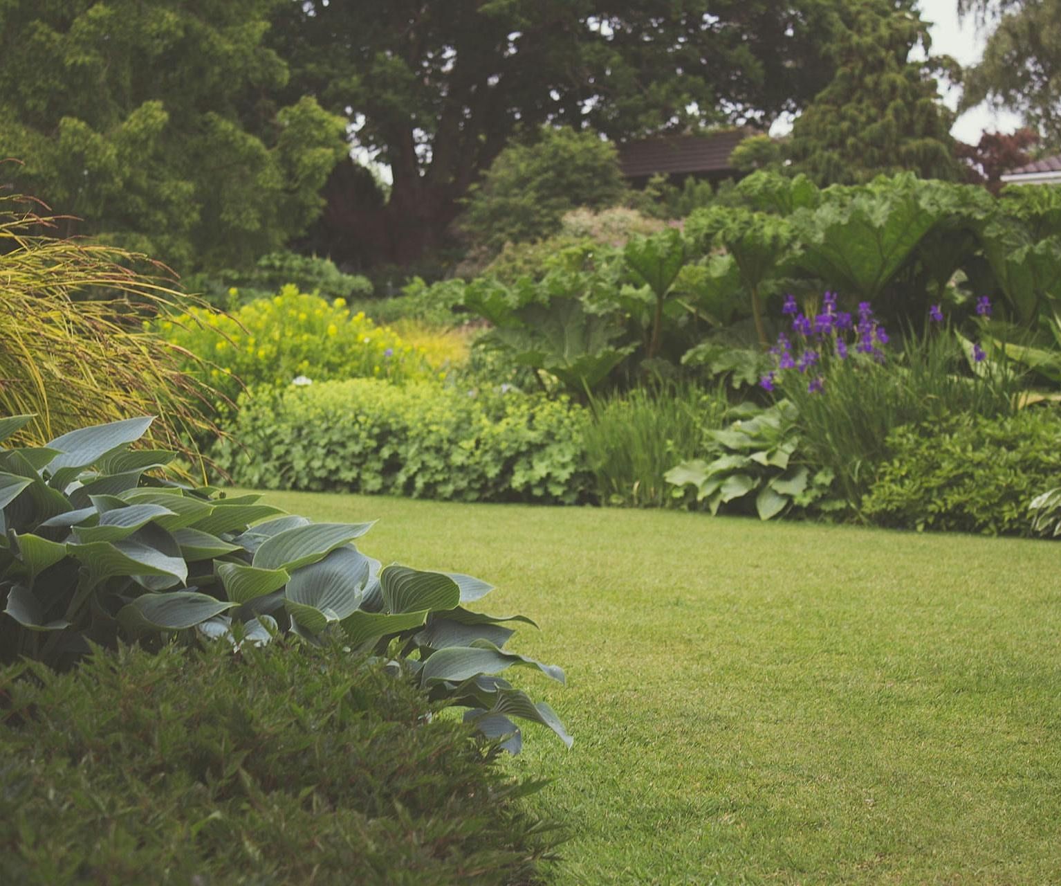 An image of a park with trees and bushes with short grass