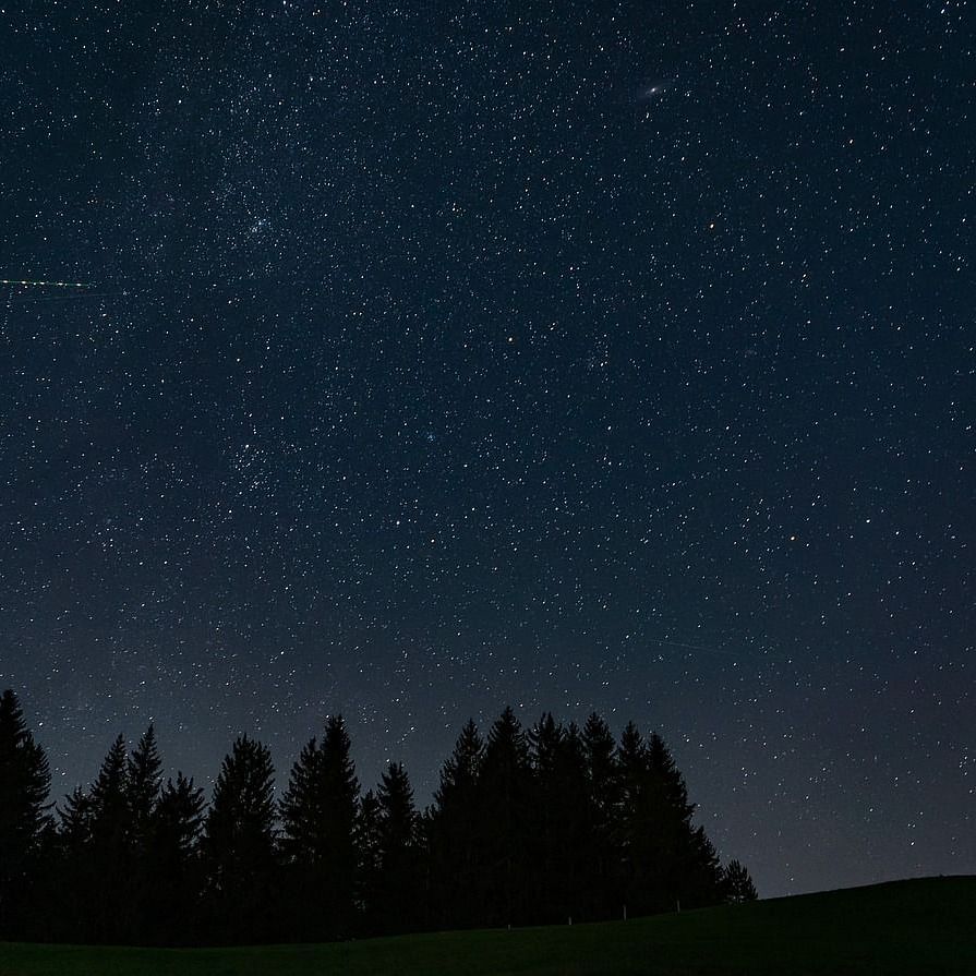 a night sky with clear stars all across with a silhouette of tall trees in the forground