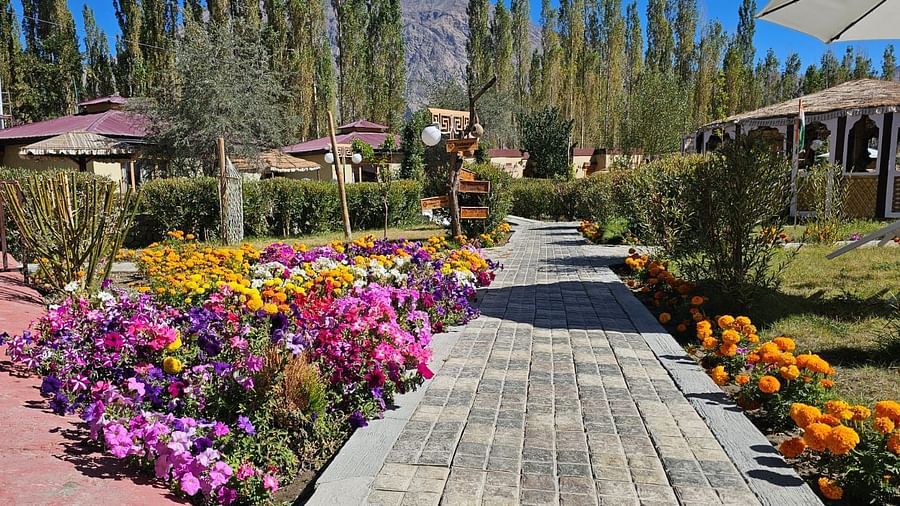 Garden pathway at White Sand Resort, Ladakh lined with colourful flowers and greenery.