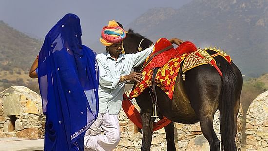 Fateh Collection 2