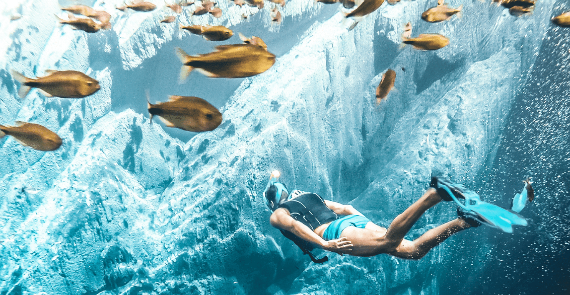 a person swimming underwater next to a school of fish