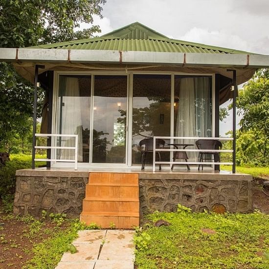A modern glass-fronted cabin with a porch, surrounded by lush greenery.
