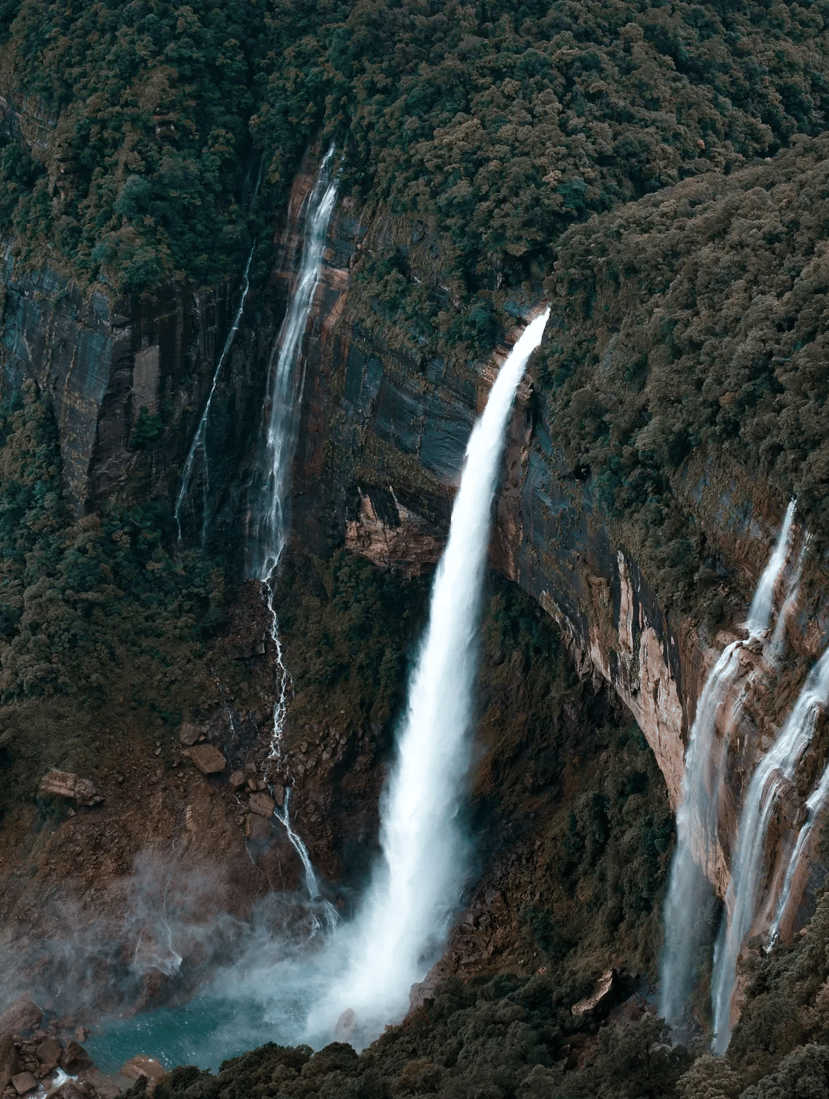 A water fall among a thick forest.