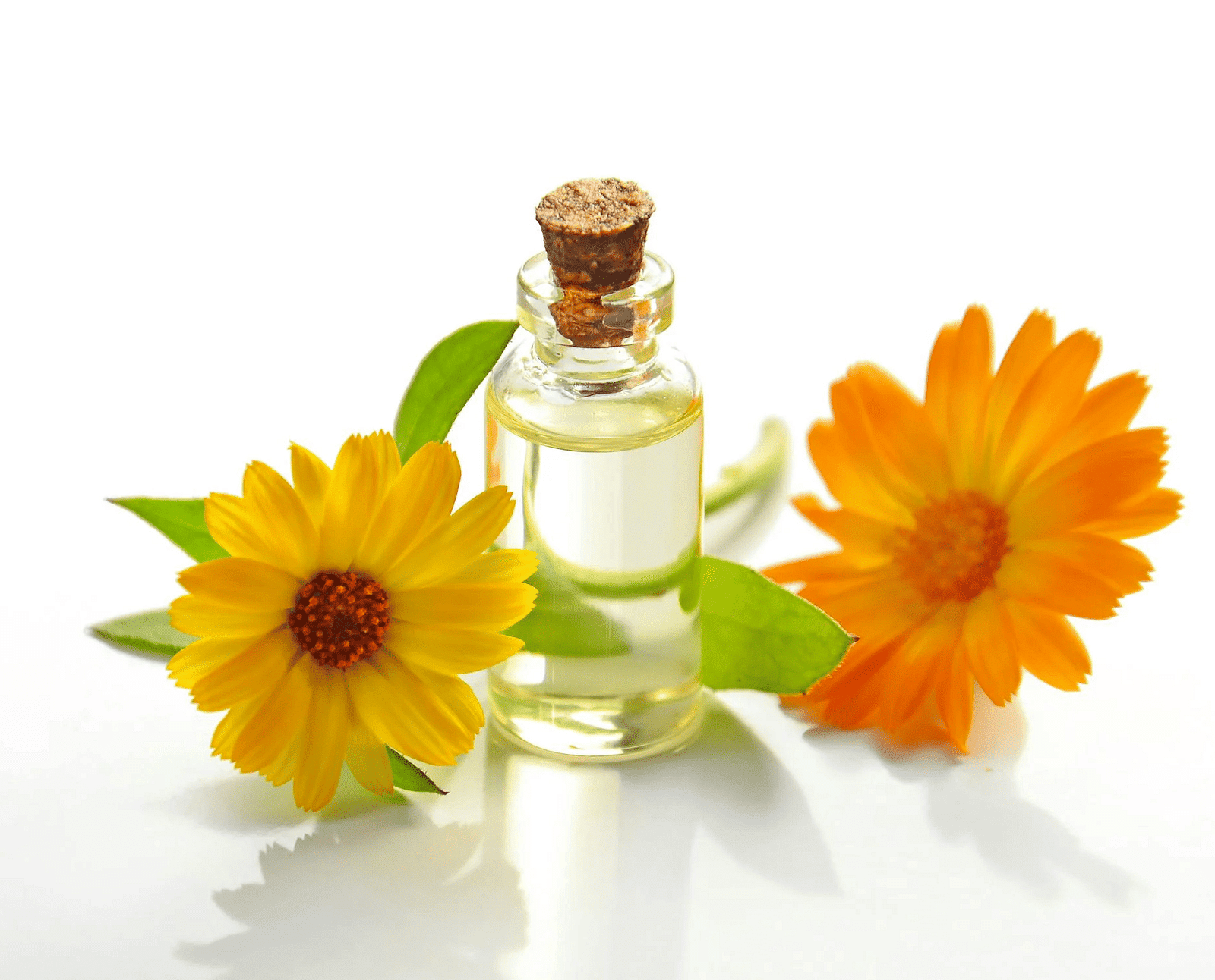 Image of a two flowers placed beside a container.