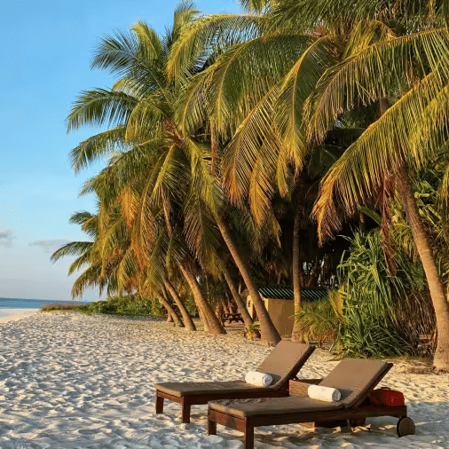 Two wooden sun loungers placed on a white sandy beach shaded by tall lush palm trees with calm turquoise sea water and clear blue sky visible in the background.