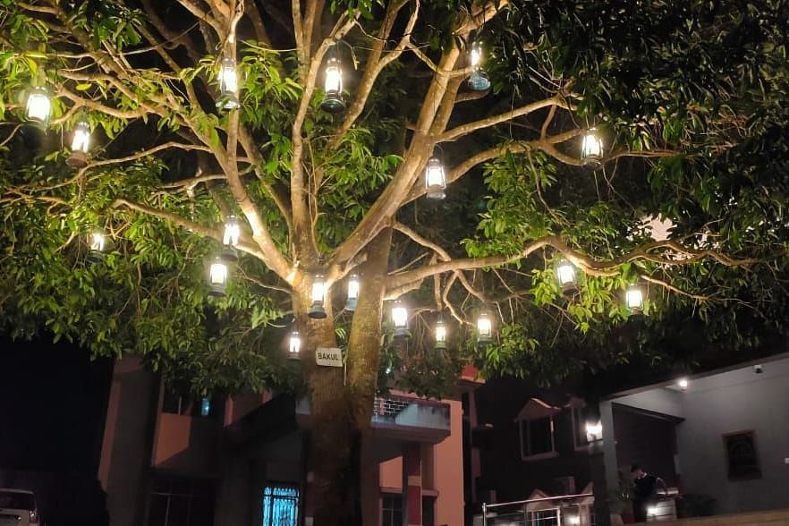 a lit up tree at our hotel
