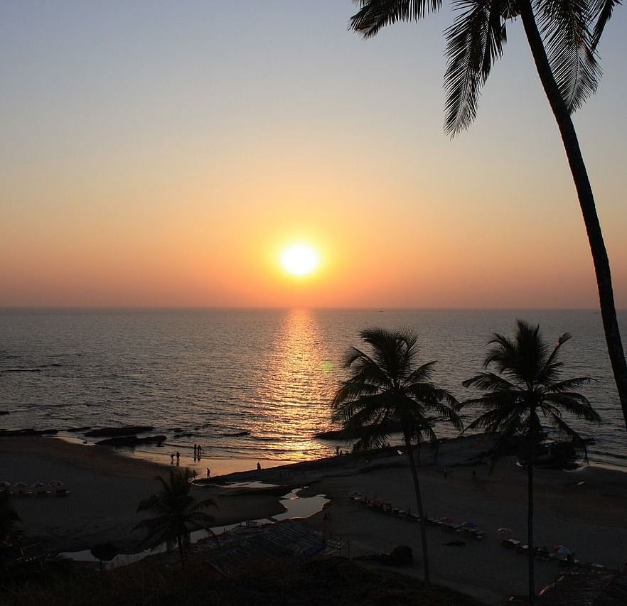Picture of Sunset over the ocean with a few trees.