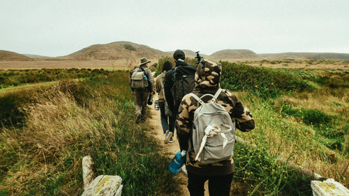 people walking on trekking trail with greenery around them