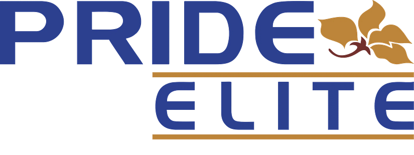 Pride Elite Logo by Pride Hotels Group
