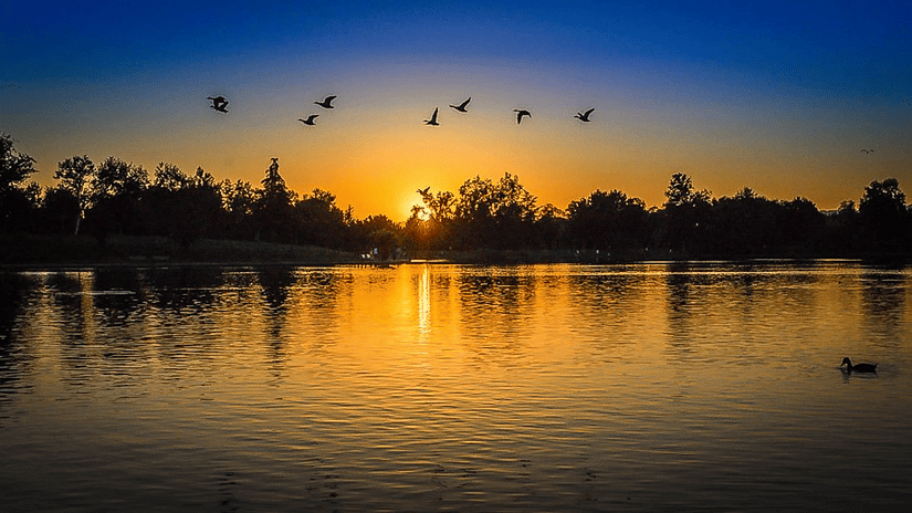 A view of a lake with birds flying in the sky and sunset in the background.