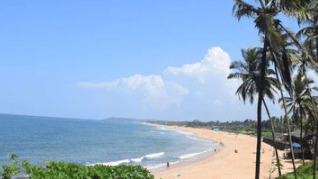 Wide scenic view of a sunny tropical sandy beach with blue ocean waves, clear blue skies, and tall coconut palm trees bordering the coastline.