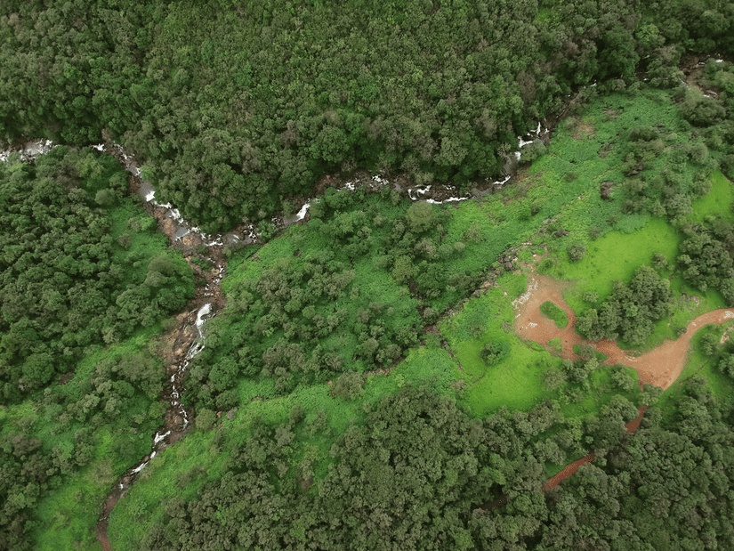 Lush forest landscape in Khandala featuring a winding stream flowing through dense greenery and open clearings.