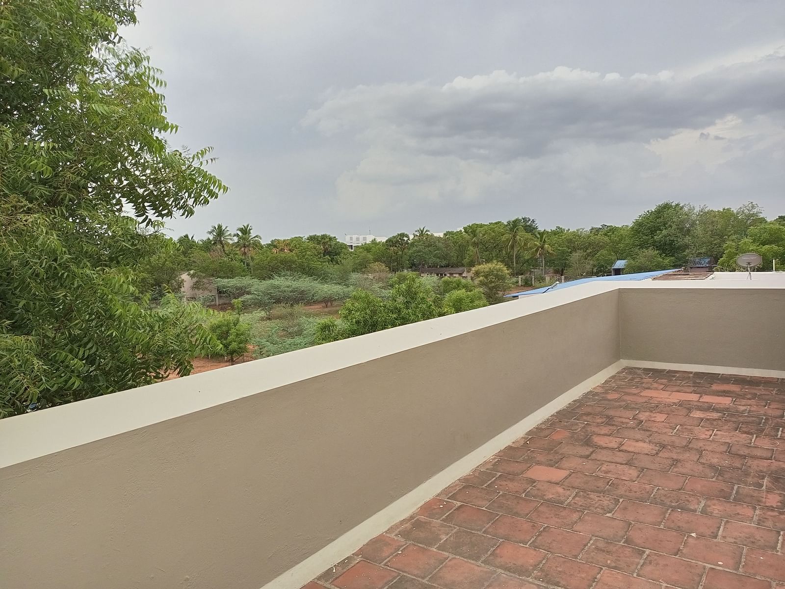 The terrace of our hotel with a view of lush greenery - Wyt Hotels Transit Nest
