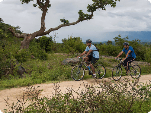 people riding bicycles