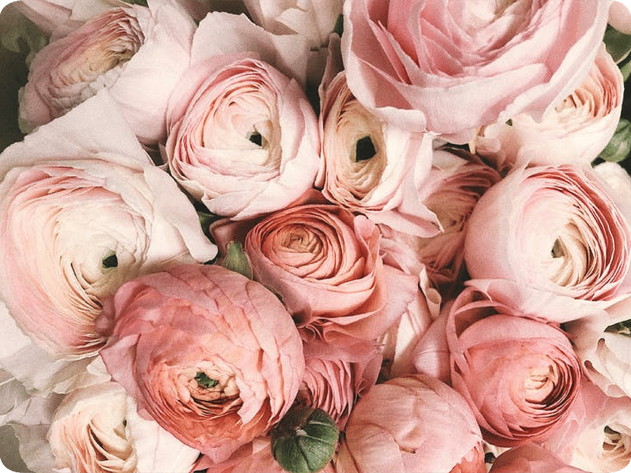 A Rose Bouquet 