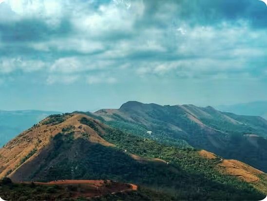 hills 893572
