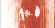 mahibajaj1