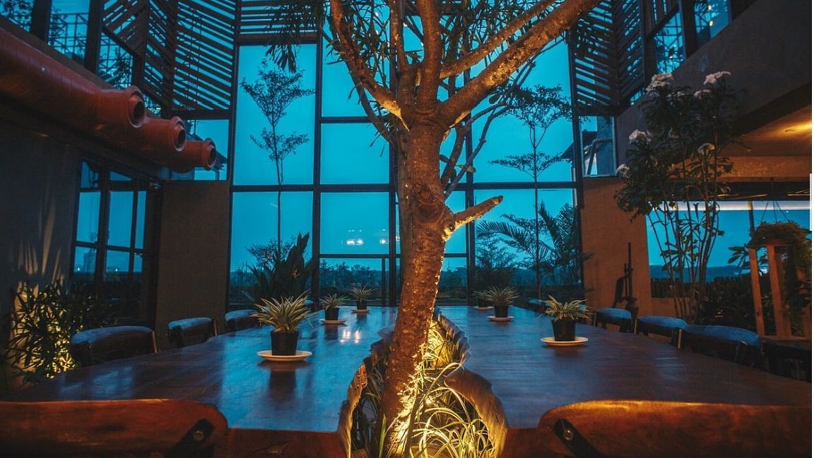 A huge dining table in a dim lighting setup with a huge tree in the middle.