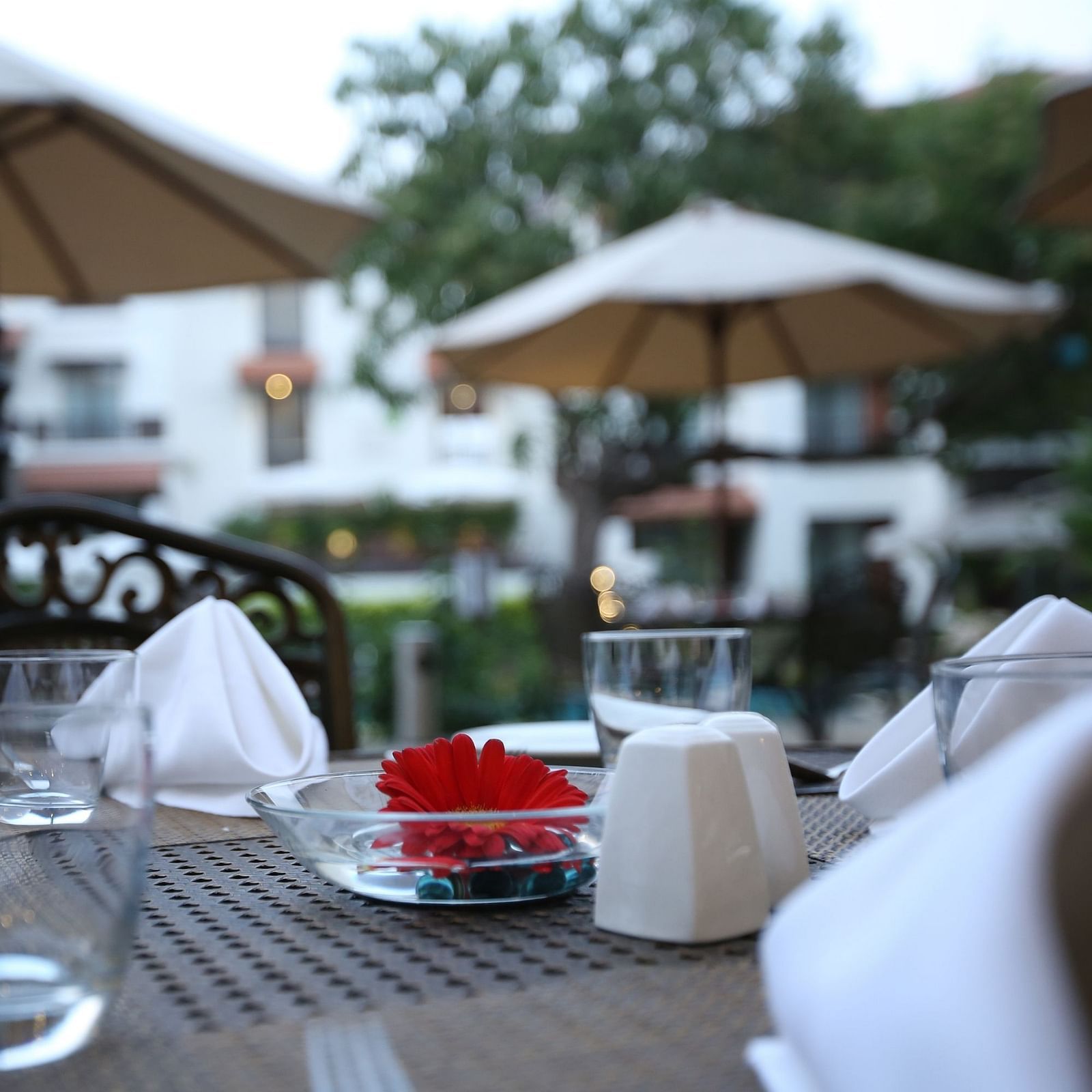 an image of a Centrepiece on dining table at a Lonavala restaurant and bar - Rhythm Lonavala
