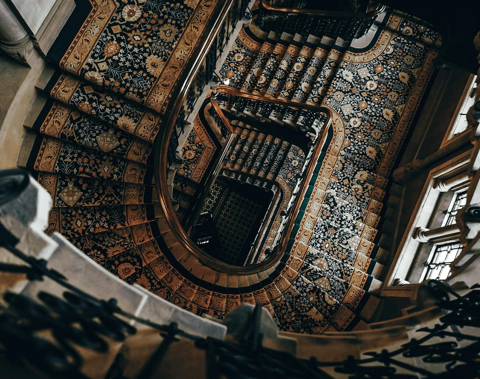 pexels-yosstraore-2555533