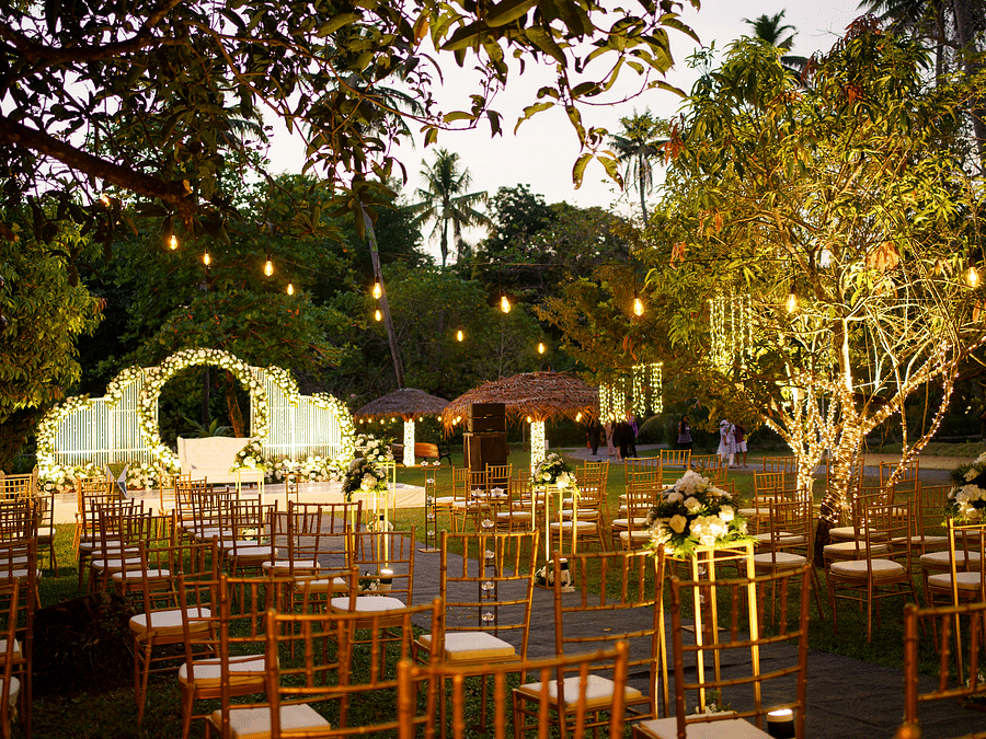 Wedding 5