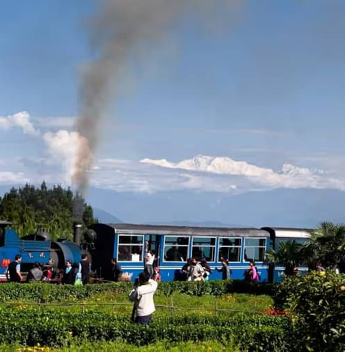 A view of the train passing by in a green field with a person waving at the passengers.