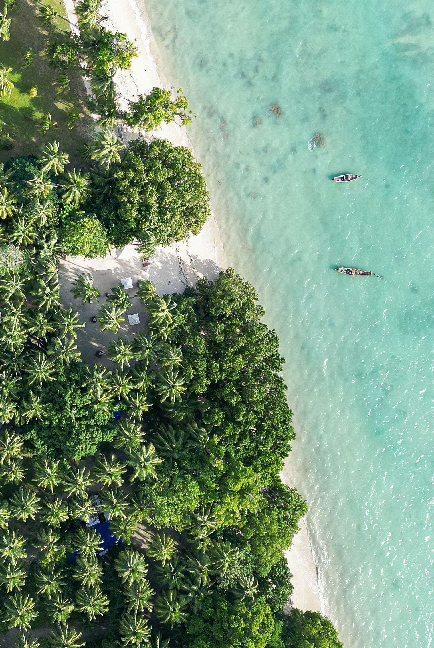  An aerial view of a tropical resort with vibrant green foliage and beachside locations. The blue water contrasts with the lush greenery, providing a serene, natural landscape - Coral Reef Resort & Spa, Havelock
