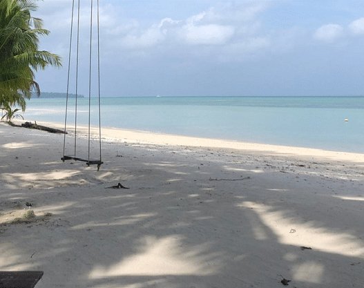 A wide angle shot of the Vijay Nagar Beach with a swing hanging from a tree.